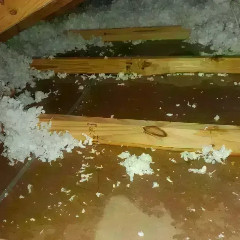 Attic Water Damage in Brockway, PA